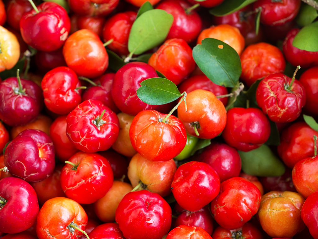 Acerola alimentos ricos em vitamina C que aumentam a absorcao de ferro INTEGRALMED